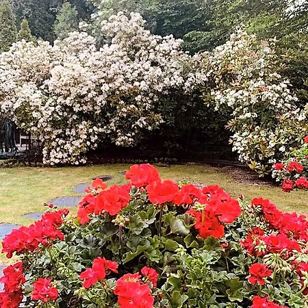 Am Suedpark